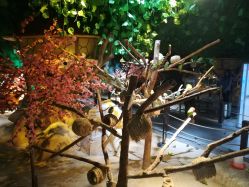 点击看大图 -酷嗒动物文化乐园(cutezoo西溪乐天城店)