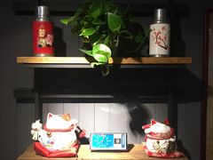 -百好乐宠物友好餐厅(朝外大街店)