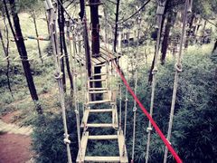 -梦幻奥陶纪景区