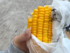 -湖南工业大学(主校区（河西校区）)