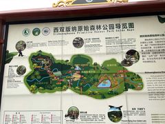 -西双版纳原始森林公园