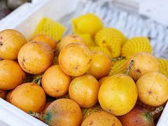 -南坛综合农贸市场