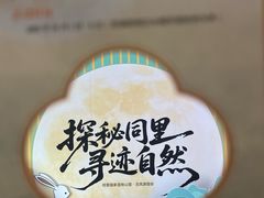 -同里国家湿地公园