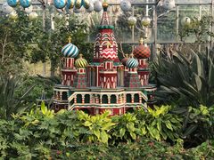 -南宫五洲植物乐园