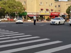 -南桥绿地铂骊酒店