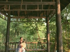 -东湖落雁景区