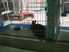 -雨林宠物医院 非犬猫异宠专科