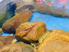 -山东八大碗山东老字号