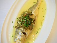 -老洋房花园饭店(绍兴路店)