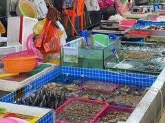 水产区-三亚新鸿港水果一级批发市场