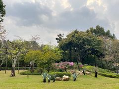 -晓港公园