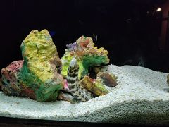 -上海海洋水族馆
