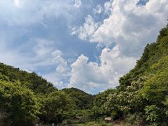 -九龙潭景区
