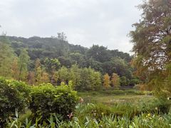 -云溪植物园