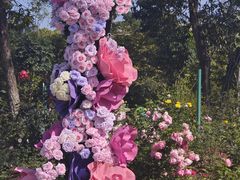 -东莞植物园
