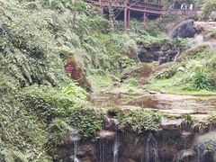 -青城山