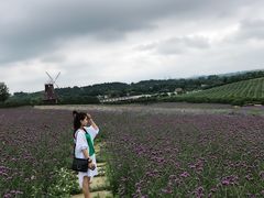 -紫颐香薰山谷景区
