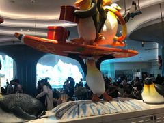 -帝企鹅自助餐厅•儿童岛•真企鹅(长隆企鹅酒店)