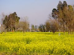 -呈贡滇池生态湿地公园