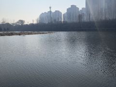 -前关湿地公园