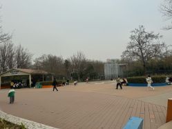 -酷酷兔少儿拓展天地