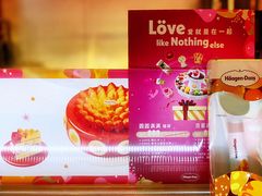 -哈根达斯(西安高新店)