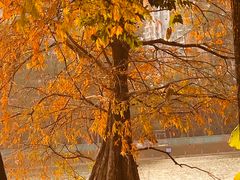 -肥妹烧腊店(洪湖店)