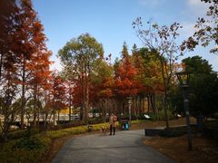 -南翔镇银翔湖公园