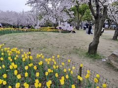 -苏州上方山国家森林公园