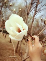 -大望京儿童游乐场