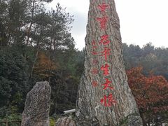 -溪口-滕头旅游景区