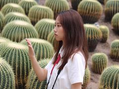 -南山植物园