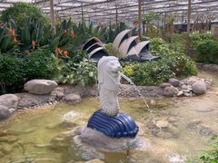 -南宫五洲植物乐园