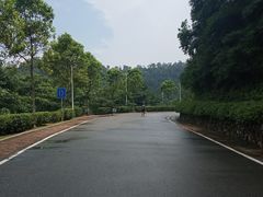 -火炉山森林公园