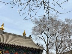 -护国法轮寺