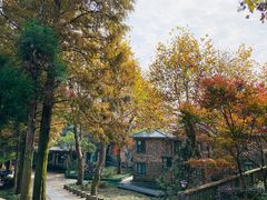 -莫干山风景区