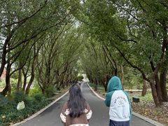 -同里国家湿地公园