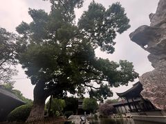 -口岸雕花楼