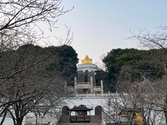 -苏州上方山国家森林公园