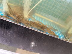 -蛙太牛牛肉海鲜自助火锅(台江万达店)