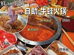 -铭记蛙小仙·活蛙畅享(CBD万达广场店)