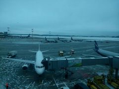 android_upload_pic-谢列梅捷沃国际机场