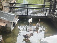 -上海千禧海鸥大酒店