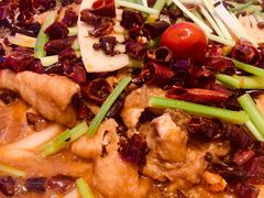 -老板恋上鱼(恒隆广场店)