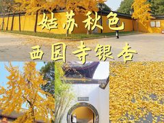 -西园戒幢律寺