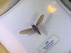 -香港科学馆