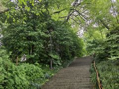 -吴山景区
