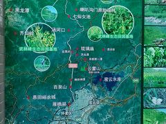 -龙湖星悦荟(颐和店)
