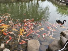 -万佛湖风景区