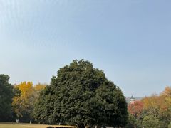-灵谷景区